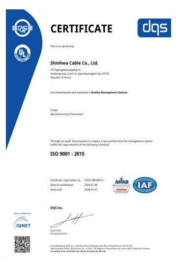 ISO 9001 